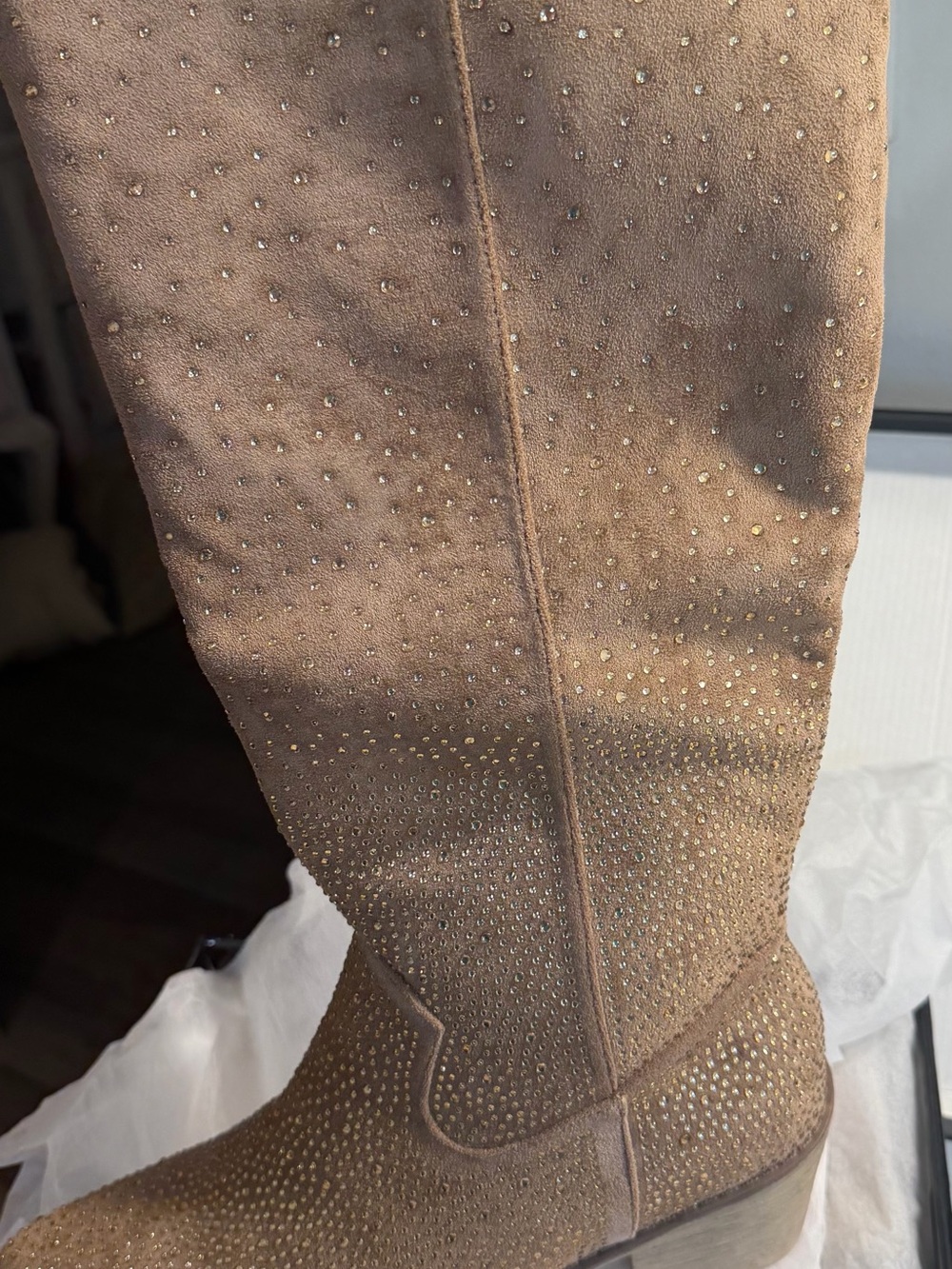 Pierre Dumas Over-the-Knee Boots in Taupe with Stud Accents